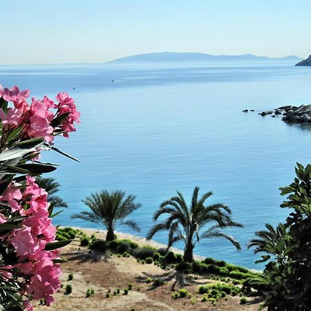 Diana Apartments Agia Pelagia  Extérieur photo